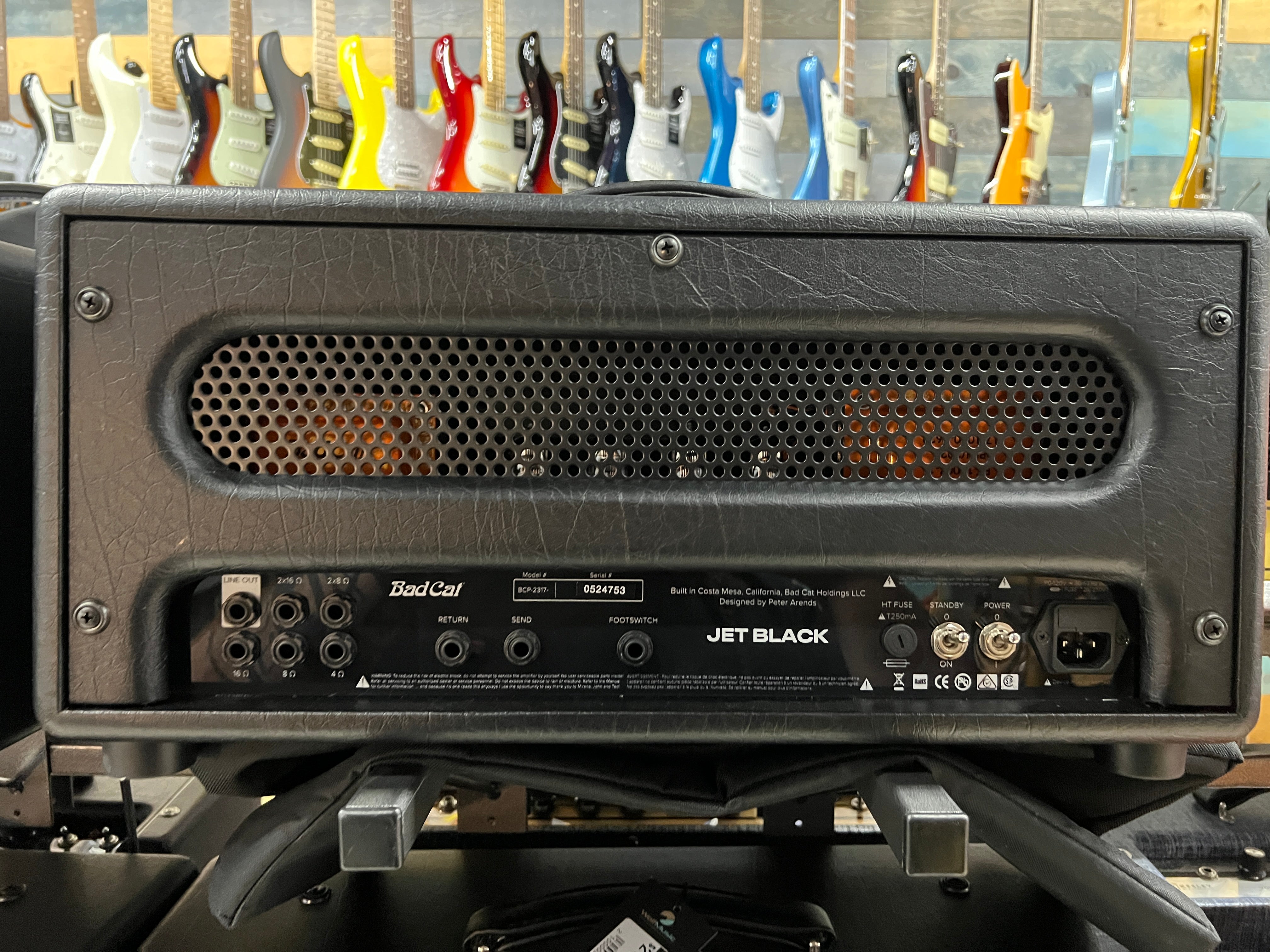 USED Bad Cat Jet Black head