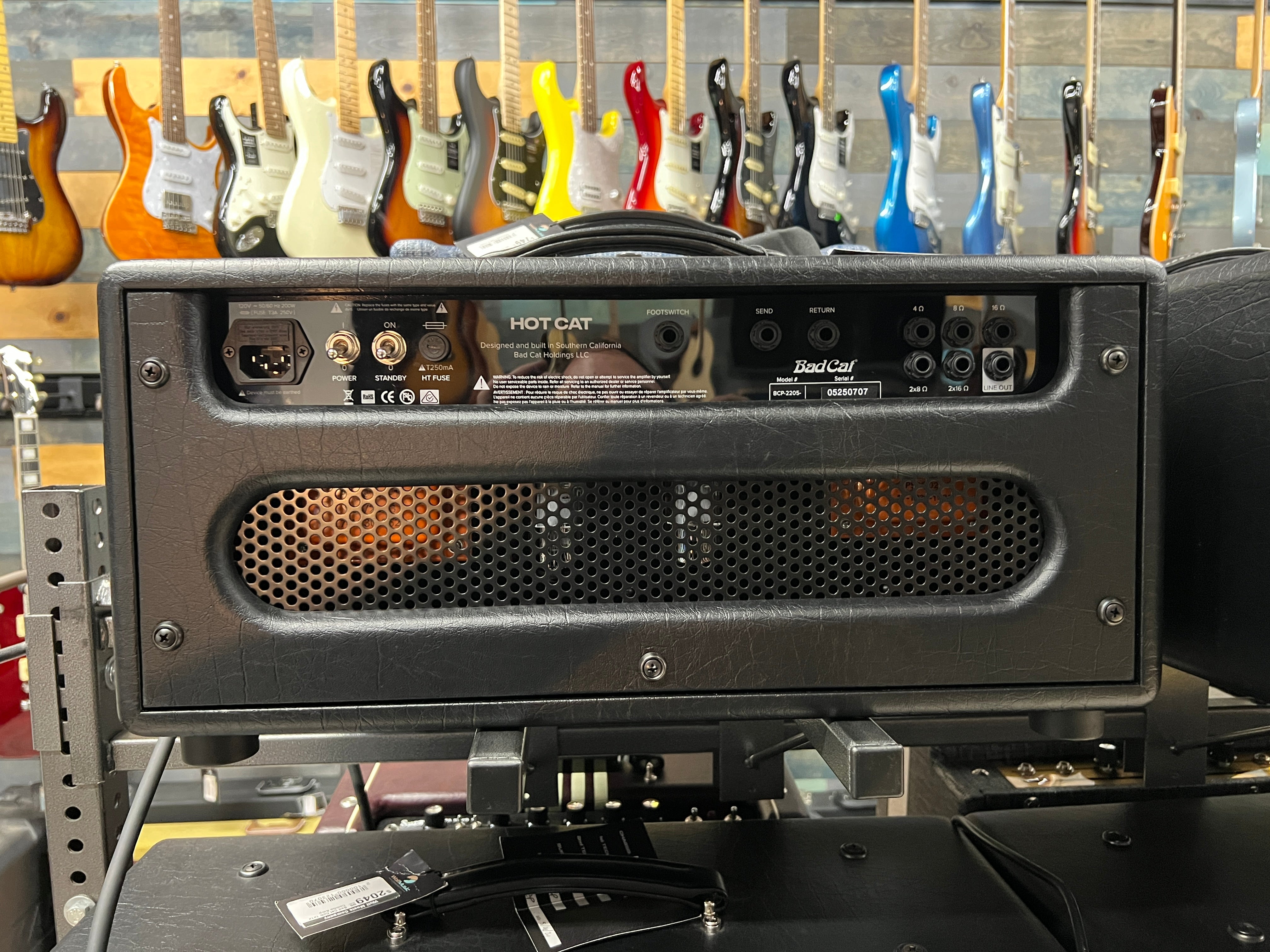 USED Bad Cat Hot Cat head