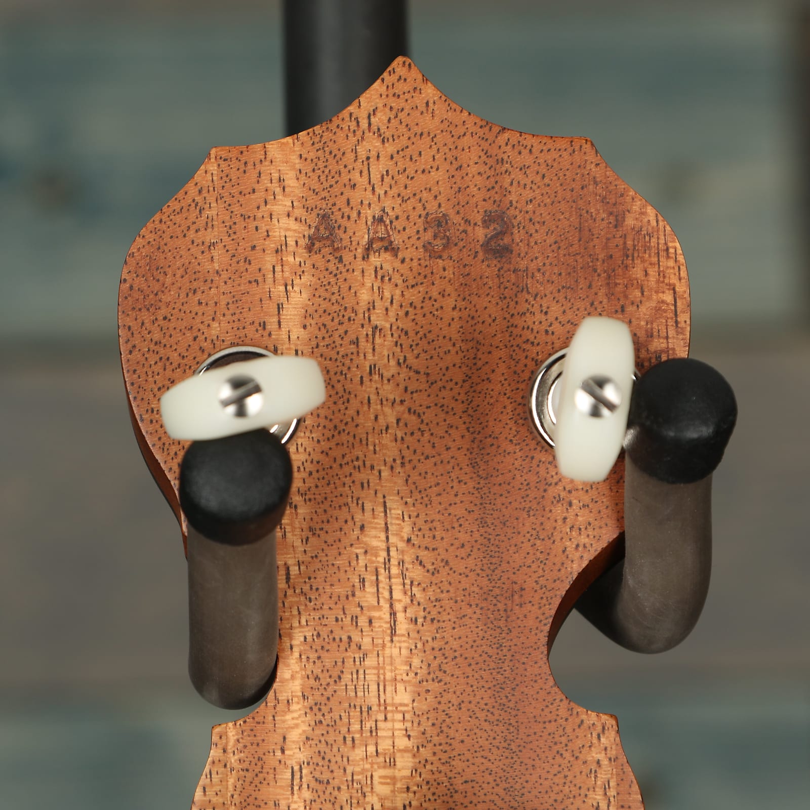 Deering Banjos Sierra 5-String Banjo