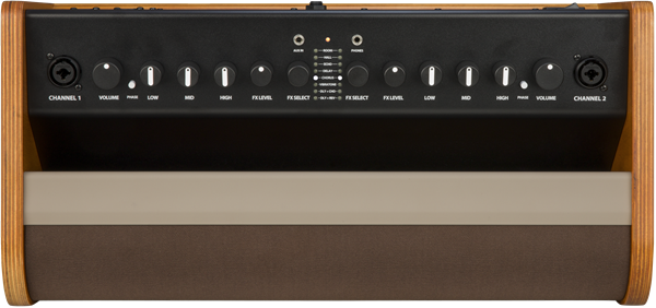 Fender Acoustic 100 120V Acoustic Amplifier