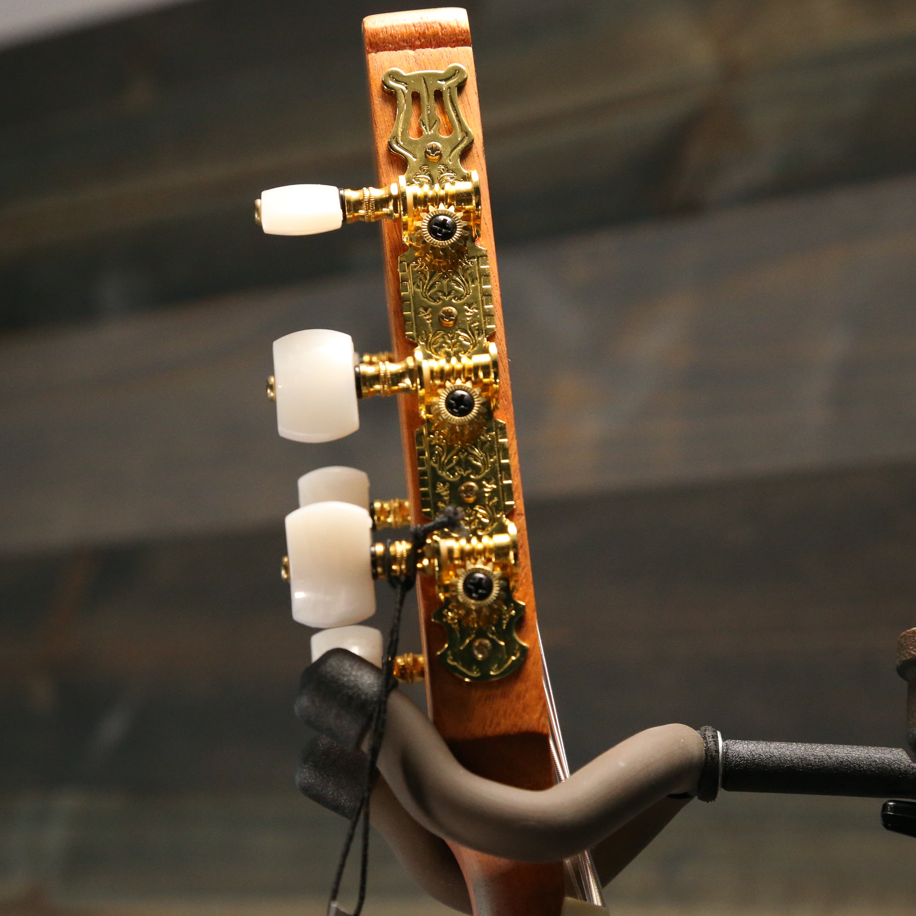 Protégé by Cordoba Student C1M 1/4 size (480mm)