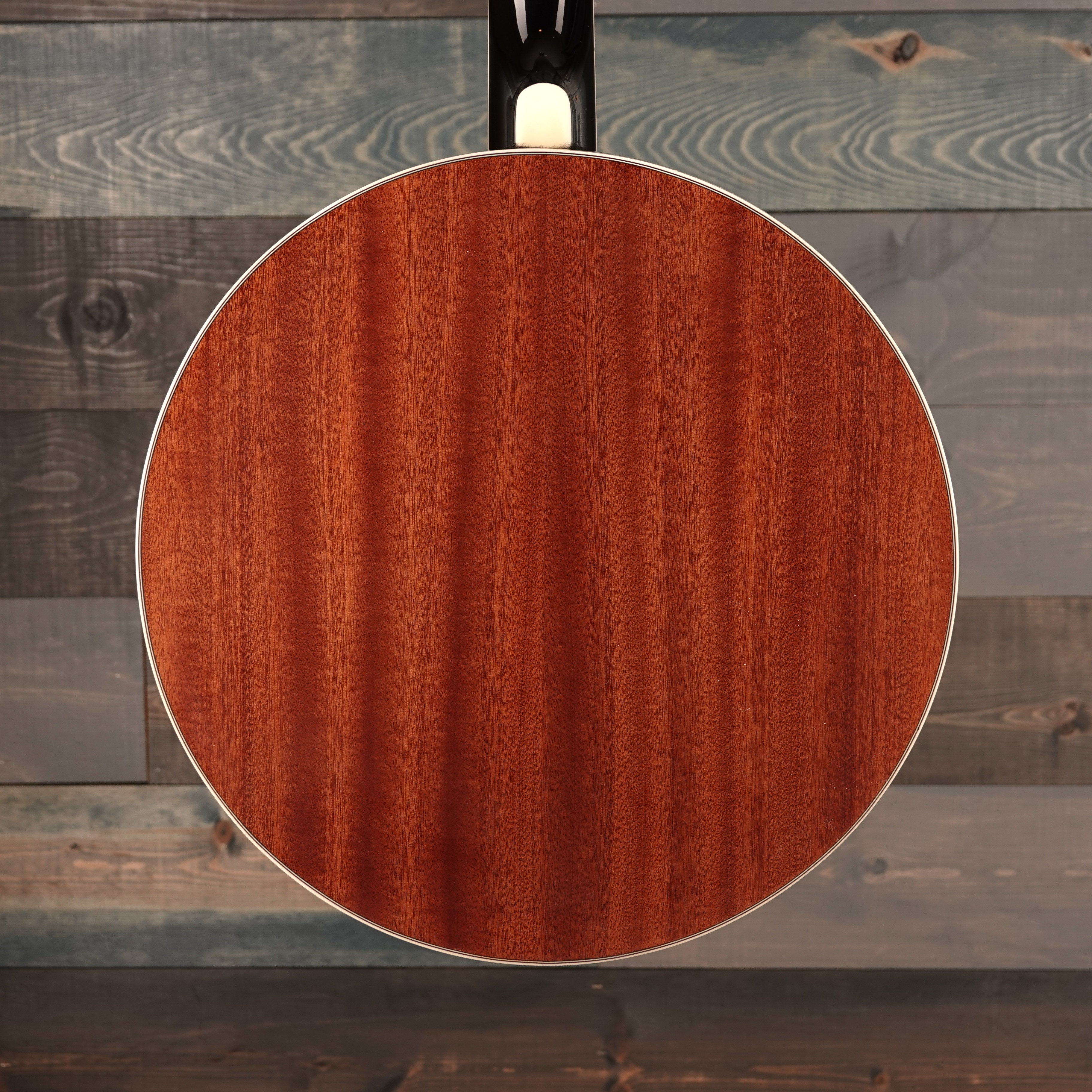 Ibanez B200 5-String Banjo Natural Closed Back